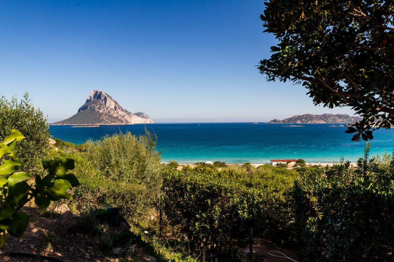 Molarotto Villa Porto Taverna Ngoại thất bức ảnh